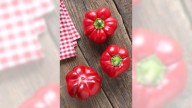 Fresh red peppers are the star of this panzanella recipe