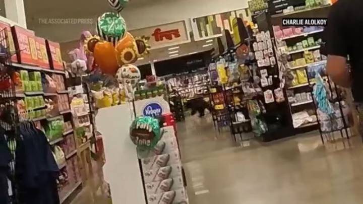 SEE IT: Bear walks into grocery store, runs around for a few minutes