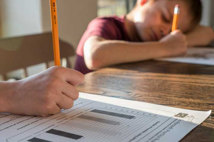Virginia Homeschool Numbers Trend Upward, Spark Oversight Debate