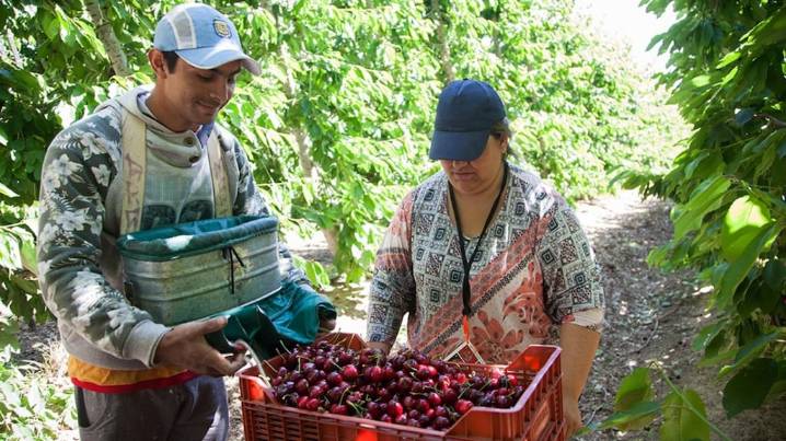 Aumentaron a $330.000 la ayuda por desempleo para trabajadores del campo