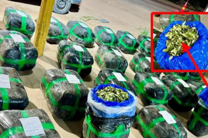 Nuevo golpe al narcotráfico en Campo Gallo: la Policía secuestró más de 530kg de hojas de coca