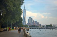 Why the Hudson River Is Turning Green This Fall