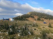 Two hikers attacked by grizzly bear near Prince George