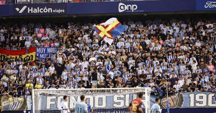 Búscate en las gradas de La Rosaleda en el Málaga CF