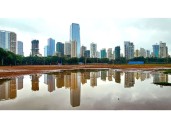 Investment activity for 2025 expected to close on strong note: CB