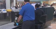 TSA workers take drastic steps as shutdown drags on, threatening Thanksgiving travel