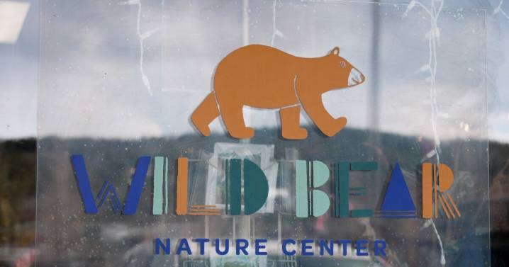 Anonymous donor kickstarts relief fund for Wild Bear Nature Center after Caribou Village Shopping Center fire