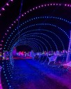 Spooky Speedway lights up Sicklerville with family