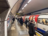 London travel news LIVE: Commuters told to avoid Northern Line as tree blocks Overground services into Euston