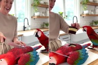 Real or AI? Red Macaw Parrot Screams As Woman Cuts Realistic Bird Cake