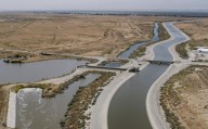 California farmers dealt costly defeat over water usage