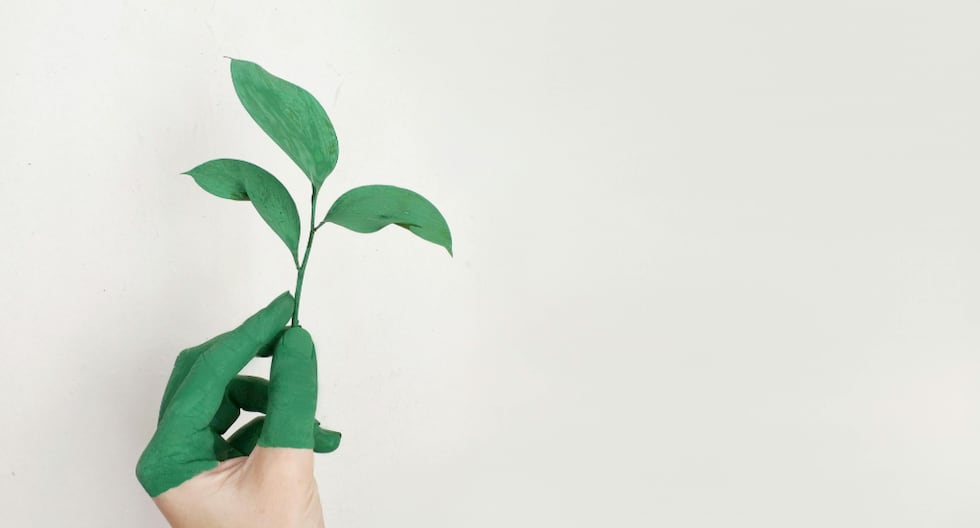 Financiamiento para aplicar economía circular en Perú: las opciones internacionales, según Cámara de Comercio de España