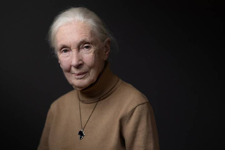 Primatologist and researcher Jane Goodall dies at 91