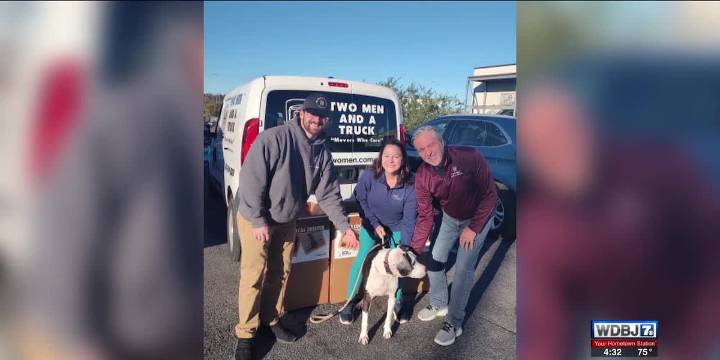 Business collects supplies for animal shelter