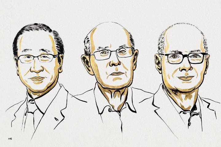 Susumu Kitagawa , Richard Robson y Omar Yaghi ganan el Nobel de Química por inventar estructuras 'metalorgánicas' para extraer agua del aire del desierto