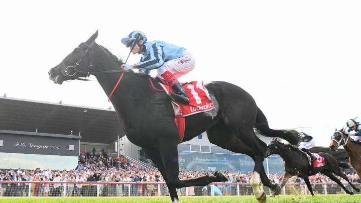 Geelong Cup suddenly under threat due to savage weather and high winds
