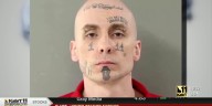 Not guilty pleas entered on Skylar Meade's behalf