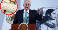 Precio de la tonelada de maíz blanco: gobierno federal fija costo para tres estados, esto costará