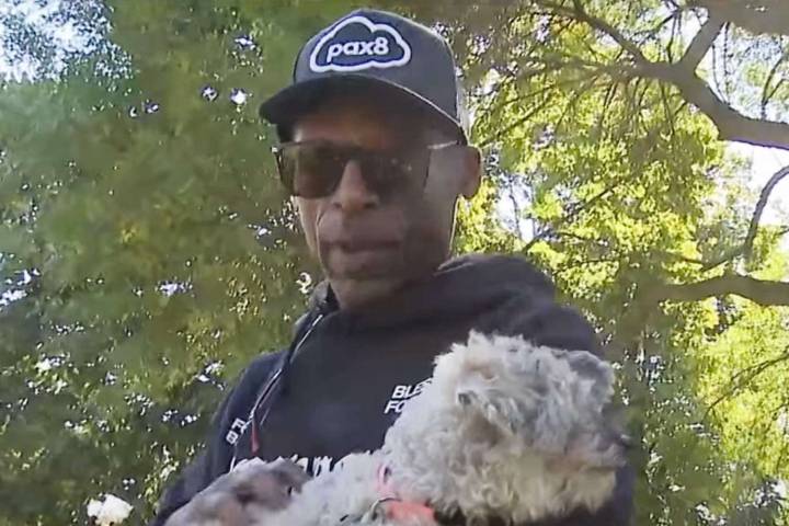 Chicago Man's Dog Returned to Him 10 Years after Pup Went Missing from Yard