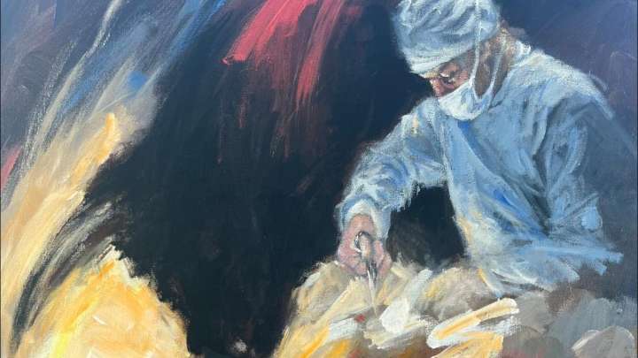 Cirujanos taurinos proponen un registro médico previo para mejorar la atención tras una cornada