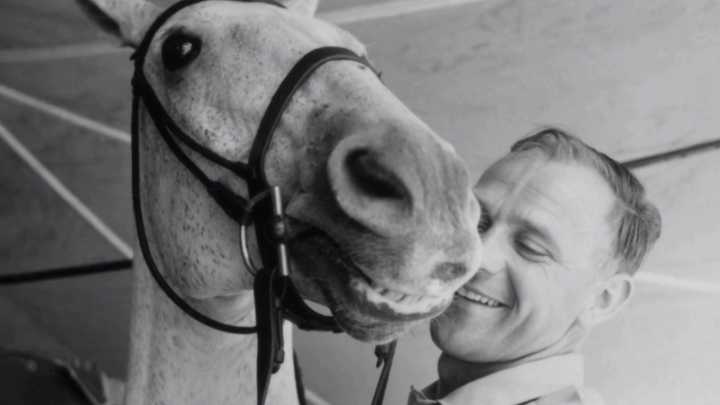 "Snowman", el caballo sin papeles que enamoró a Estados Unidos