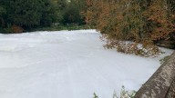 Mystery foam on river in Thetford sparks Environment Agency investigation