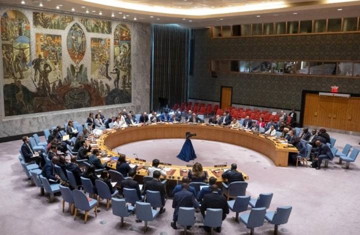 ONU integra 14 nuevos representantes a Consejo de DH; activistas rechazan selección