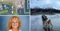 AROUND ALASKA: Harbor Upgrade, Principal Recognized, and Iditarod Training!