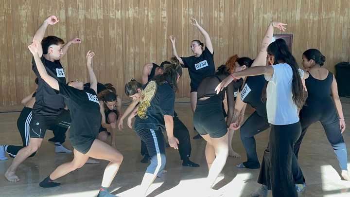 Más de 1.100 artistas audicionan en los castings para la Fiesta Nacional del Sol