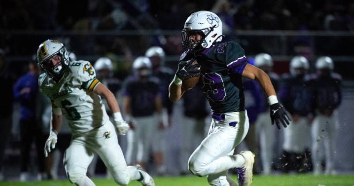 2025 IHSA playoffs: Steve Soucie’s Class 2A first-round analysis – Shaw Local