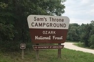 How rare are bear attacks in Arkansas?