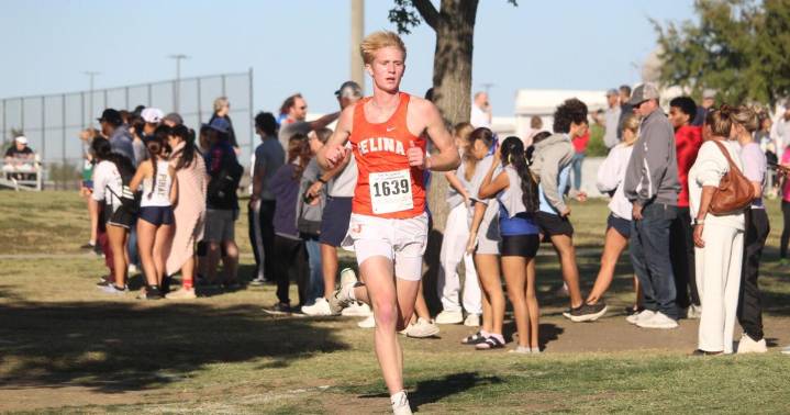 Celina cross country, volleyball teams authoring familiar finishes