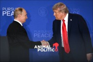 "No quiero perder el tiempo": Trump cancela cumbre con Putin en Budapest por Ucrania