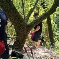 Firefighters rescue woman who fell down dune at Indiana Dunes State Park