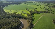 Berryjerry Station: eastern Riverina agribusiness for sale