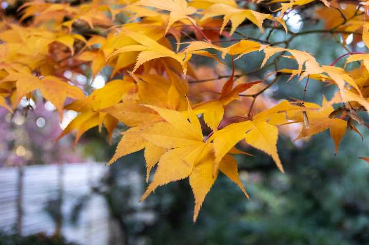 Portland’s wet Wednesday morning dries out for afternoon sunshine; high 59