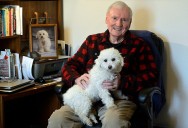Trivially Speaking: Another common term gets vetted, no animals involved