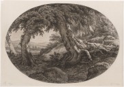 3 Baltimore Museum of Art shows highlight environmental concerns this fall