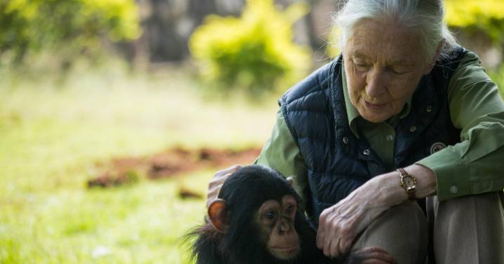 Prosopagnosia, la condición neurológica que padecía Jane Goodall