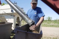 Minn. Farm Bureau president on soybean bailout, tariffs