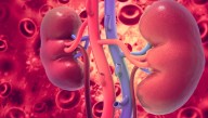 Kidney Blood Type Changed From A To O Before Transplant, Bringing Universal Organs A Step Closer