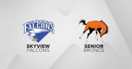 Billings Senior, Skyview split soccer doubleheader