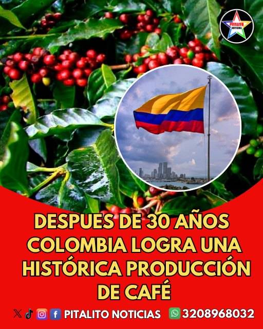 Colombia vive su mejor año cafetero en tres décadas
