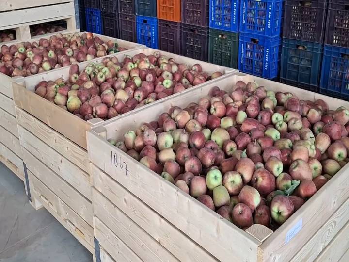 Cold storage facilities save South Kashmir apple growers from heavy losses after highway closure