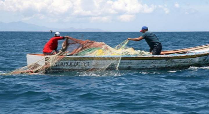 Piden declaratoria de desastre en la pesca por camarón en Nayarit