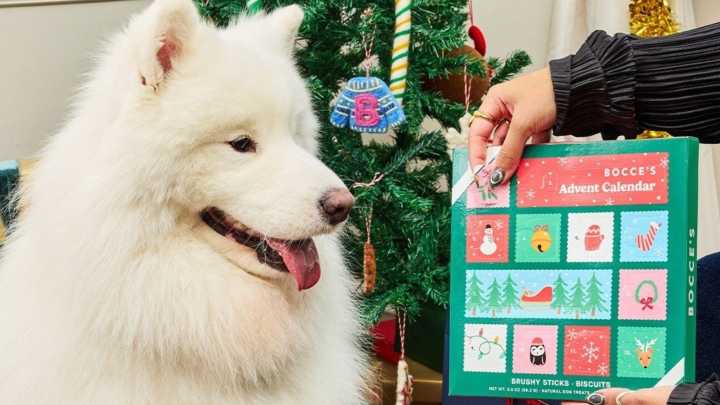 Treat your pup to a 12-day Advent calendar for under $15 at Chewy