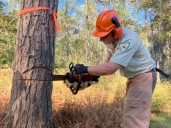 West Virginia State Parks Foundation Receives Grant from Hearts of Stihl
