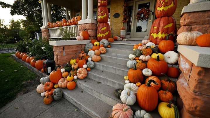 Pumpkins: More Than Just Jack