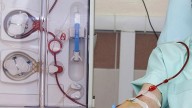 Día Mundial de la Donación de Órganos: la Ley Justina que modificó el régimen en Argentina