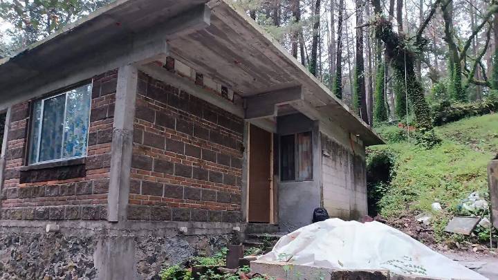Clausuran dos propiedades en Tepoztlán; carecen de autorización en materia de impacto ambiental